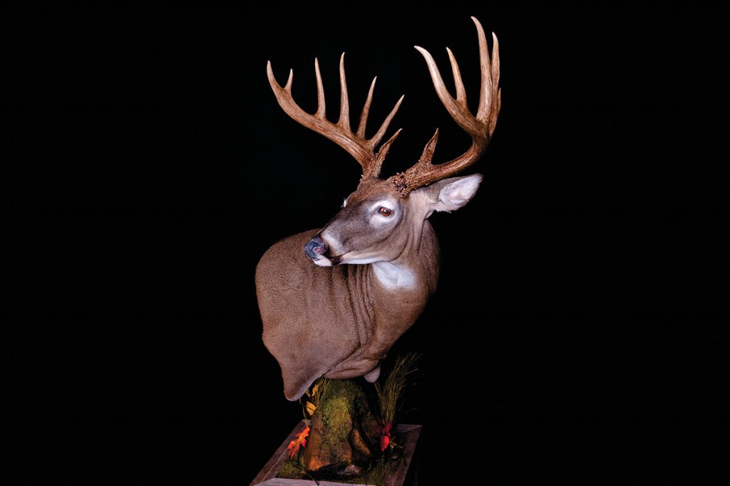 Picture of: Potential Kentucky State Record Crossbow Typical Shot in Hem