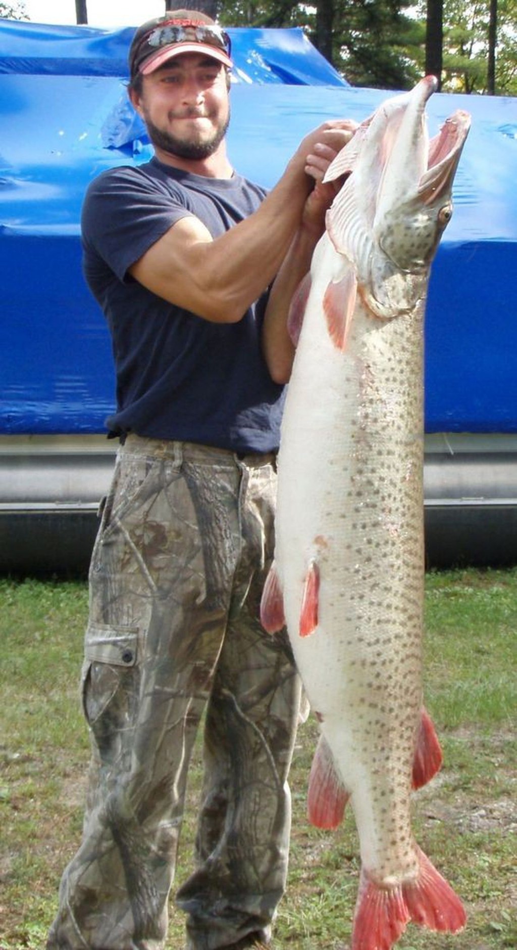 Picture of: State record muskie caught in Torch Lake – mlive